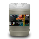 GRAFFIX HD Road Paint & Graffiti Remover - SPECIAL PRODUCTS - D-Tail Lab
