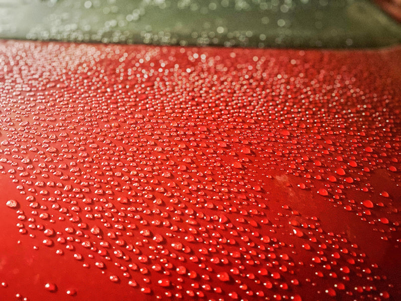 PRODIGY - Hybrid SiO2 Wet Coat Sealant - PAINT PROTECTION & WAX - D-Tail Lab