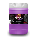 REVEAL Pre-Coat Surface Prep Cleaner - SPECIAL PRODUCTS - D-Tail Lab