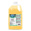 Car Brite Terminator (1 Gallon)